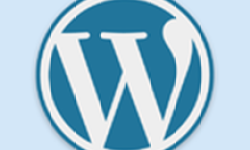 Wordpress 3.8 去除 google 字体—解决Wordpress加载缓慢的问题
