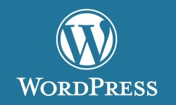 怎样给WordPress分类、页面和标签页固定链接URL添加.html后缀实现伪静态
